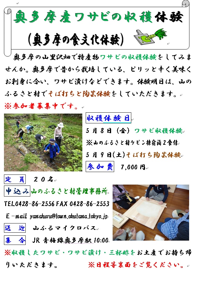 wasabisyuukakutaiken