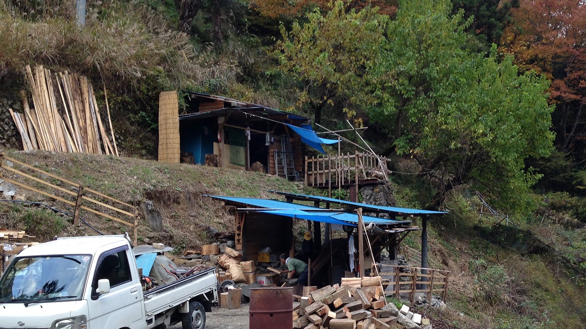 tokyonomidoriwomamorou