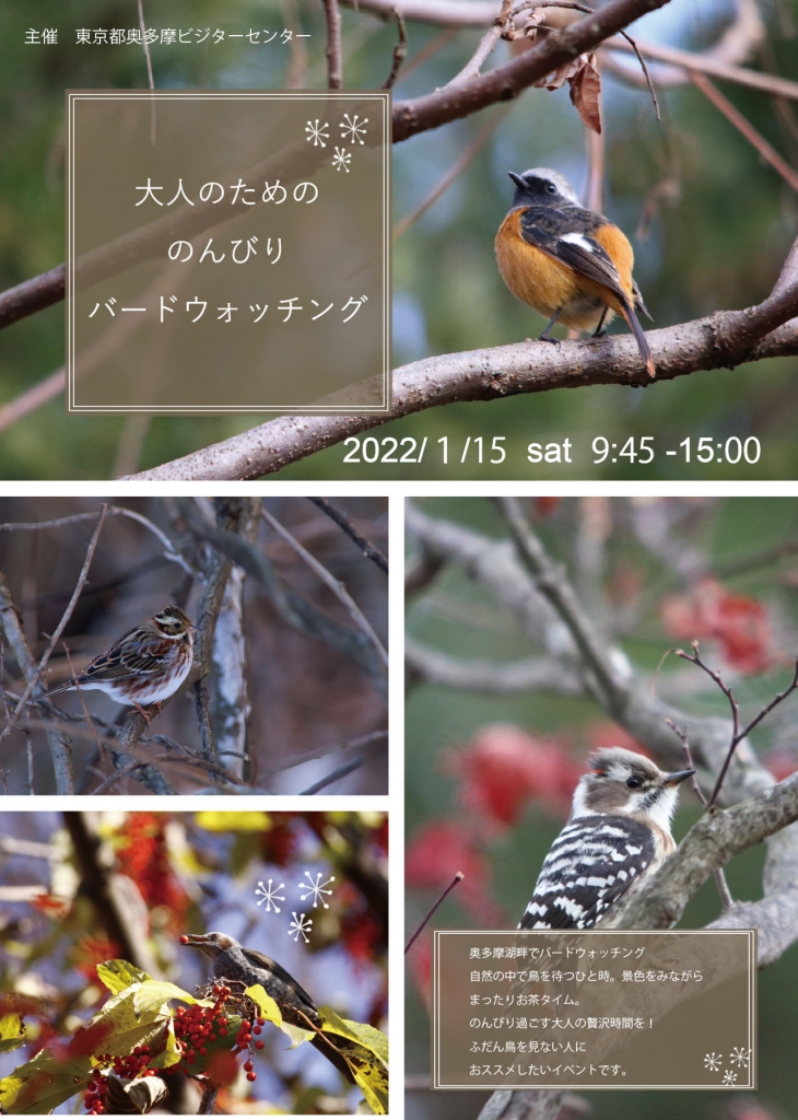 otonanononbiribirdwatching220115