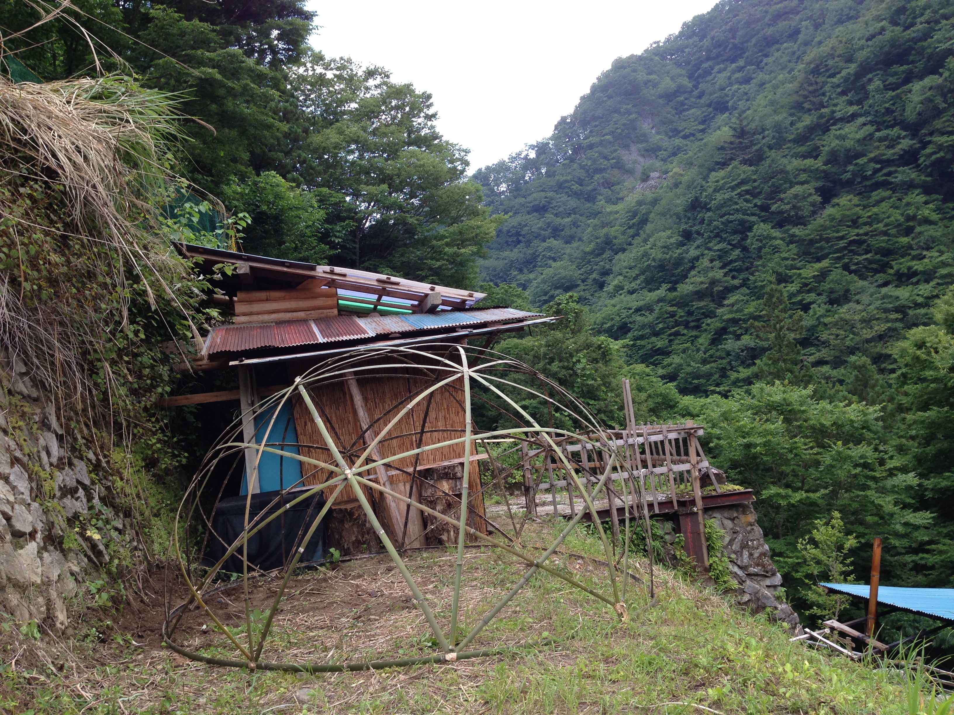 stardomeokunippara160806