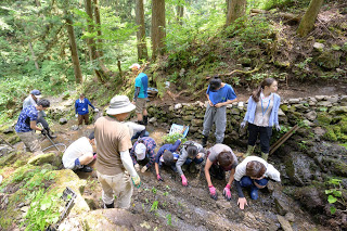 wasabidauetukesuiro190818